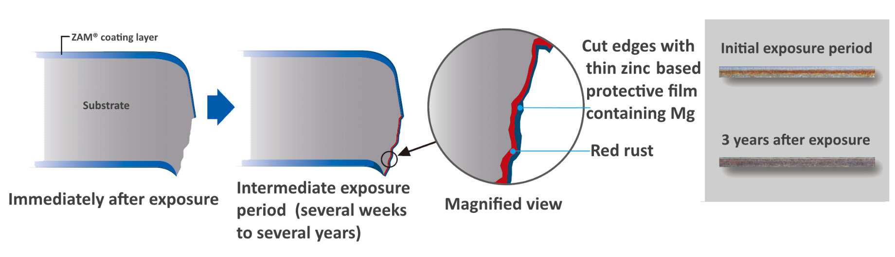 Edge Protection for Sheet Metal | Cut Edge Corrosion | Diagram of Edge Corrosion Resistance